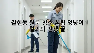 갈현동 원룸 청소🧹 꿀팁! 멍냥이 털과의 전쟁 끝!🐶🐱
