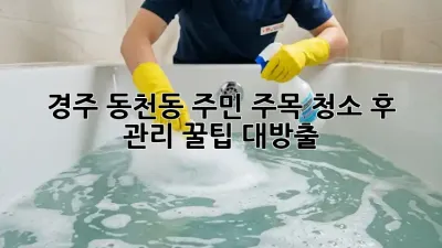 ✨ 경주 동천동 주민 주목! 청소 후 관리 꿀팁 대방출 🏡