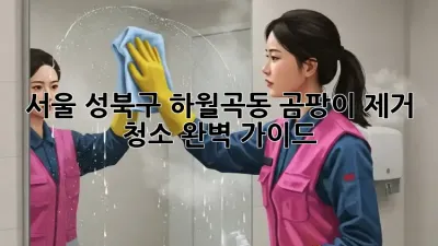 서울 성북구 하월곡동 곰팡이 제거 청소 완벽 가이드