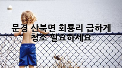 문경 산북면 회룡리 급하게 청소 필요하세요? 🧹✨