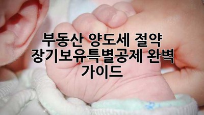 부동산 양도세 절약! 장기보유특별공제 완벽 가이드