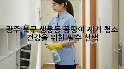 광주 북구 생용동 곰팡이 제거 청소: 건강을 위한 필수 선택!