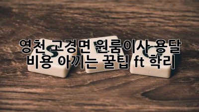 영천 고경면 원룸이사, 용달 비용 아끼는 꿀팁🍯 (ft. 학리)